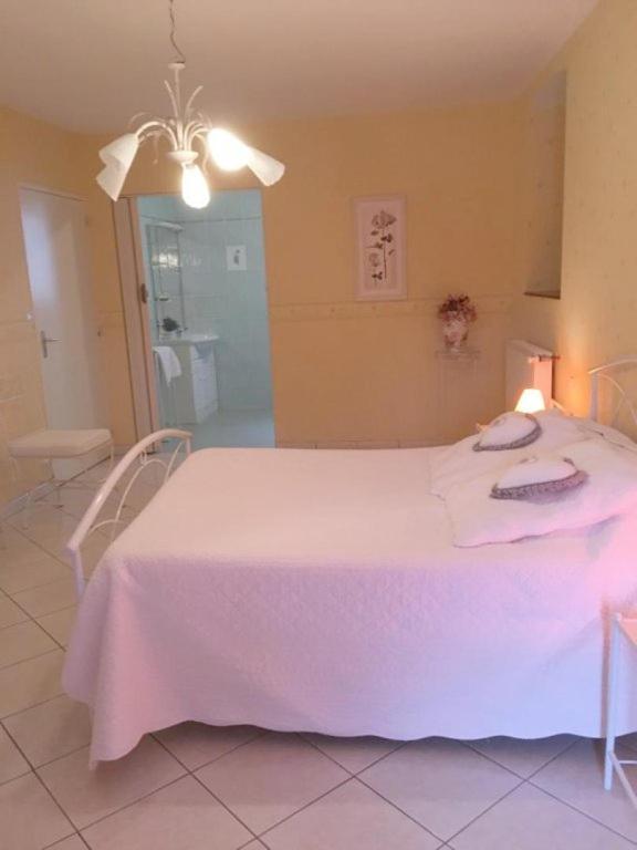 Chambres D'Hotes Du Maspourquet Saint-Santin-Aveyron Екстер'єр фото